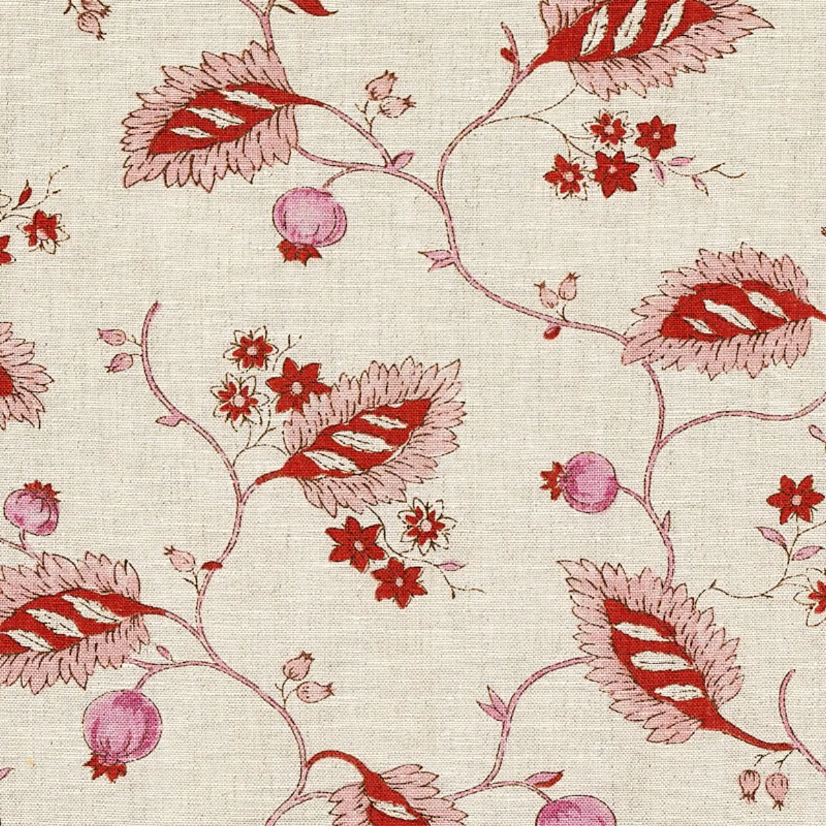 MARYAM VINE_ PINK & RED
