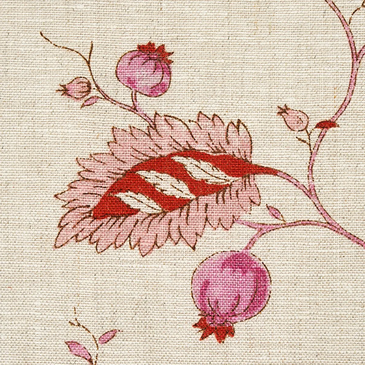 MARYAM VINE_ PINK & RED