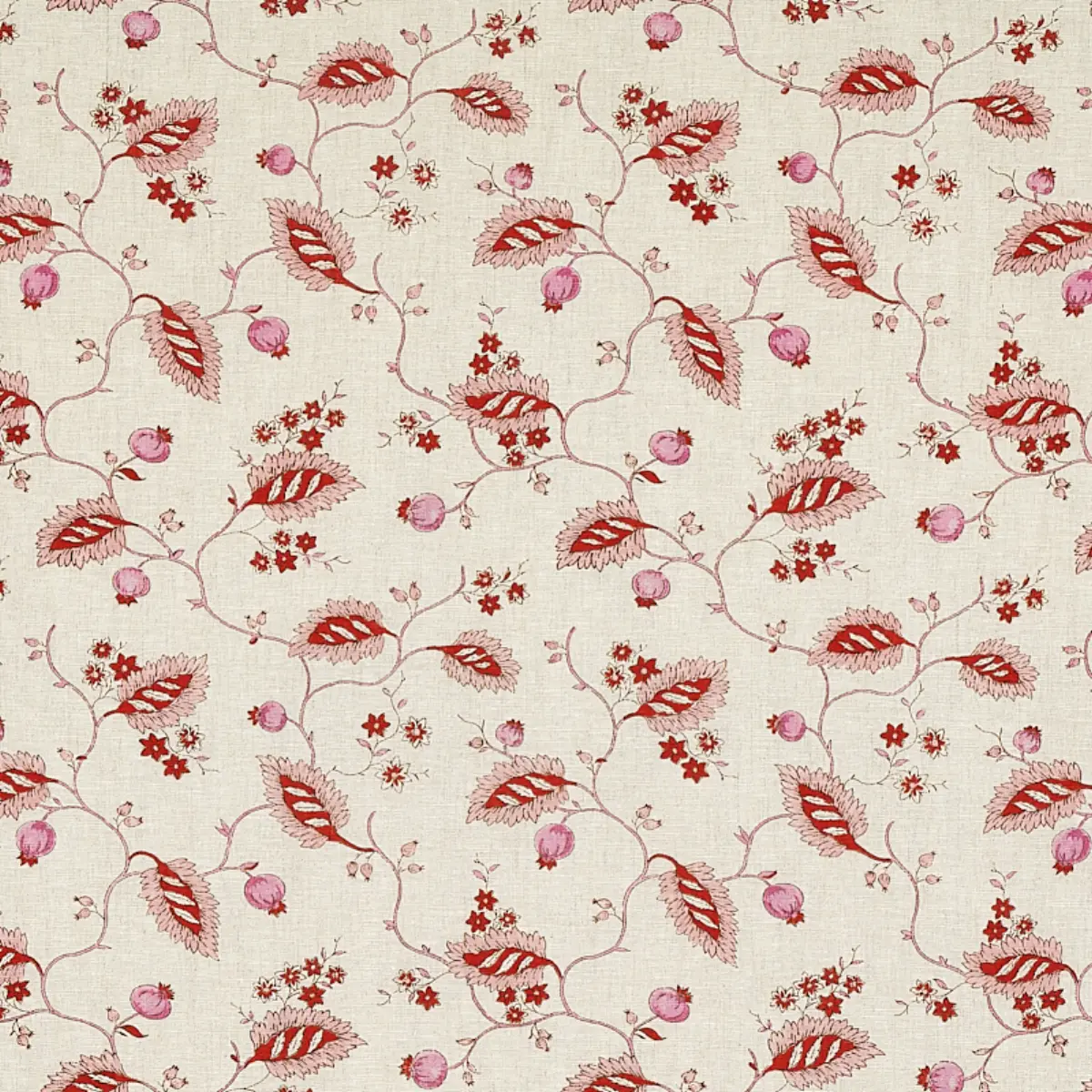 MARYAM VINE_ PINK & RED