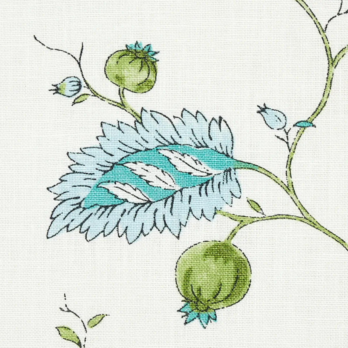 MARYAM VINE_ PEACOCK