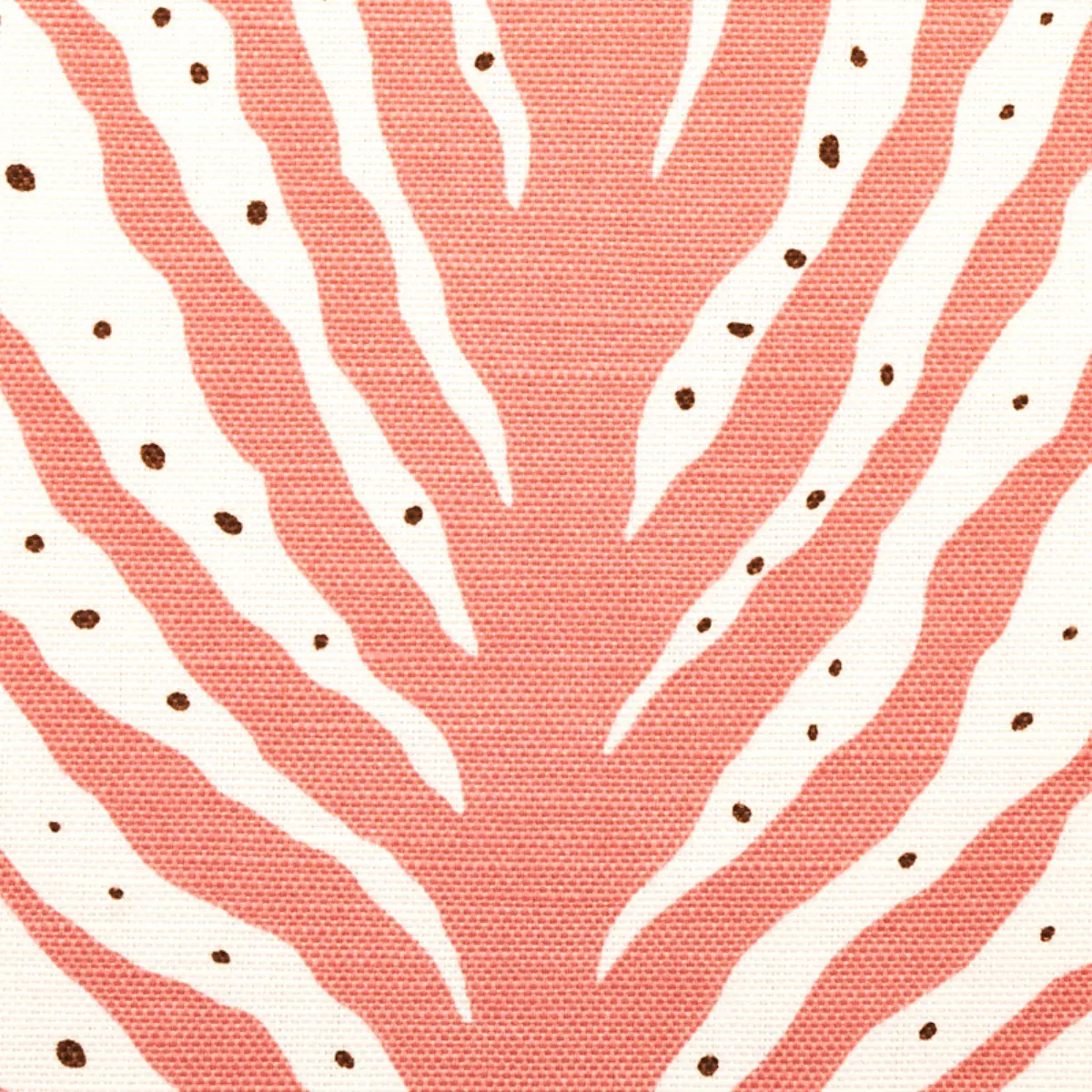 Creeping Fern Print_ CORAL