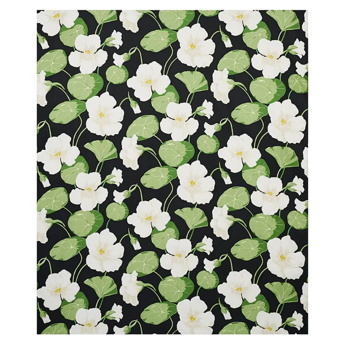 NASTURTIUM_ NOIR