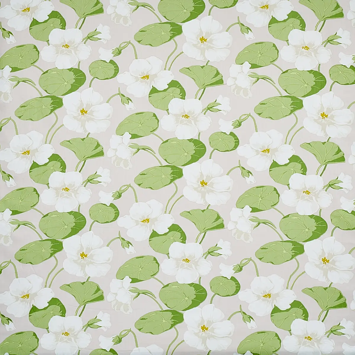 Nasturtium_ STONE