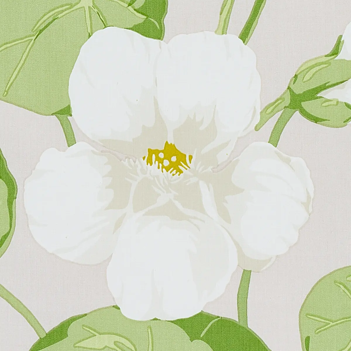 Nasturtium_ STONE