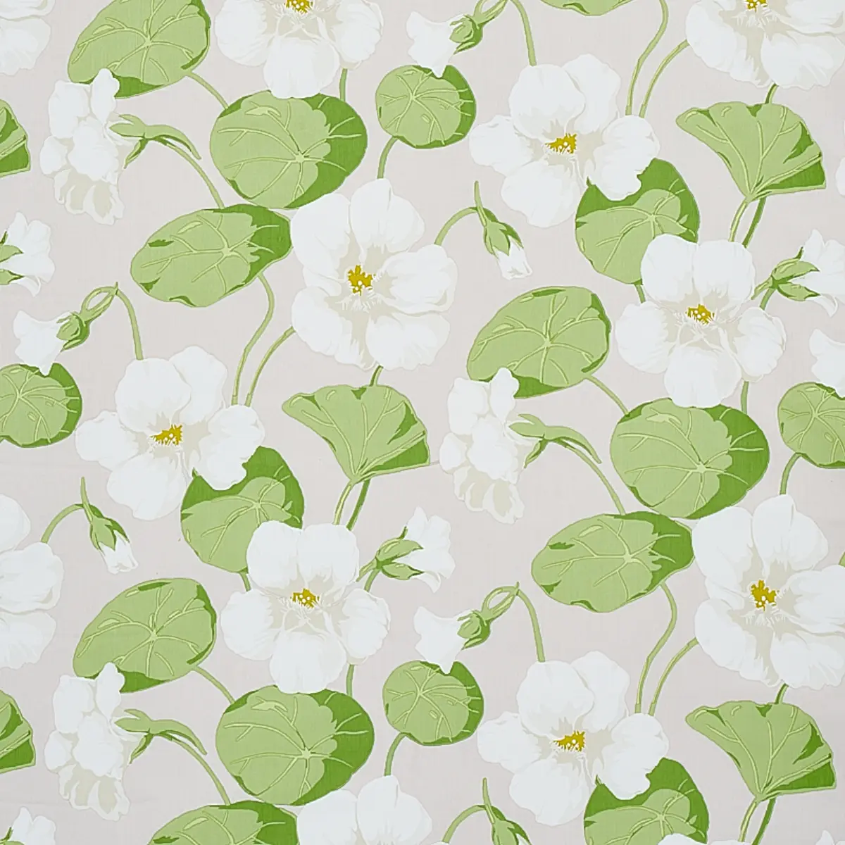 Nasturtium_ STONE