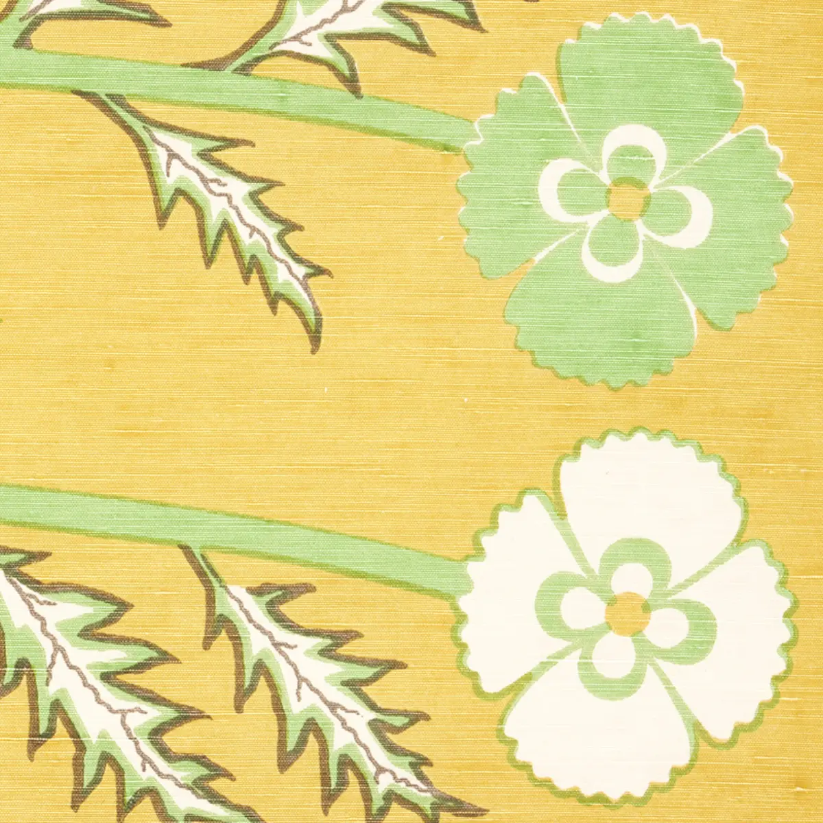 THISTLE_ MUSTARD