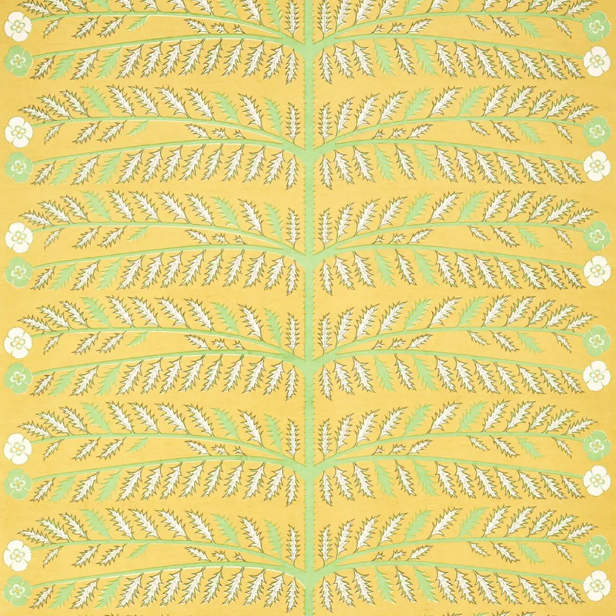 THISTLE_ MUSTARD