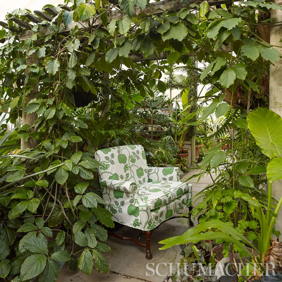 QUEEN FRUIT CHINTZ_ JADE