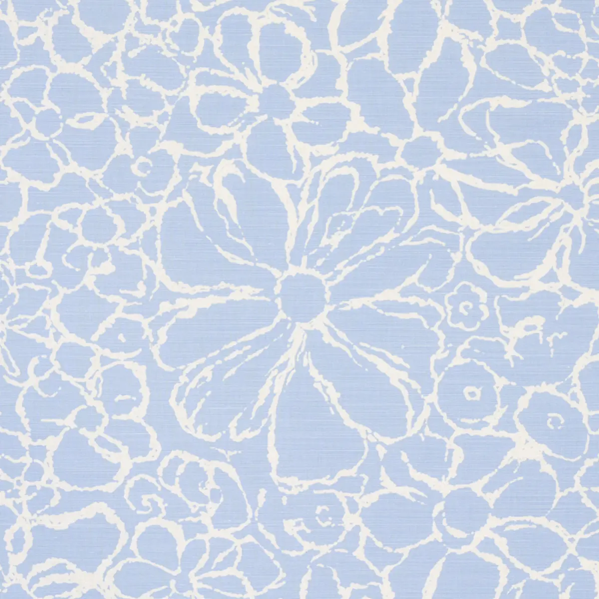 SIDONIE_ BLUE