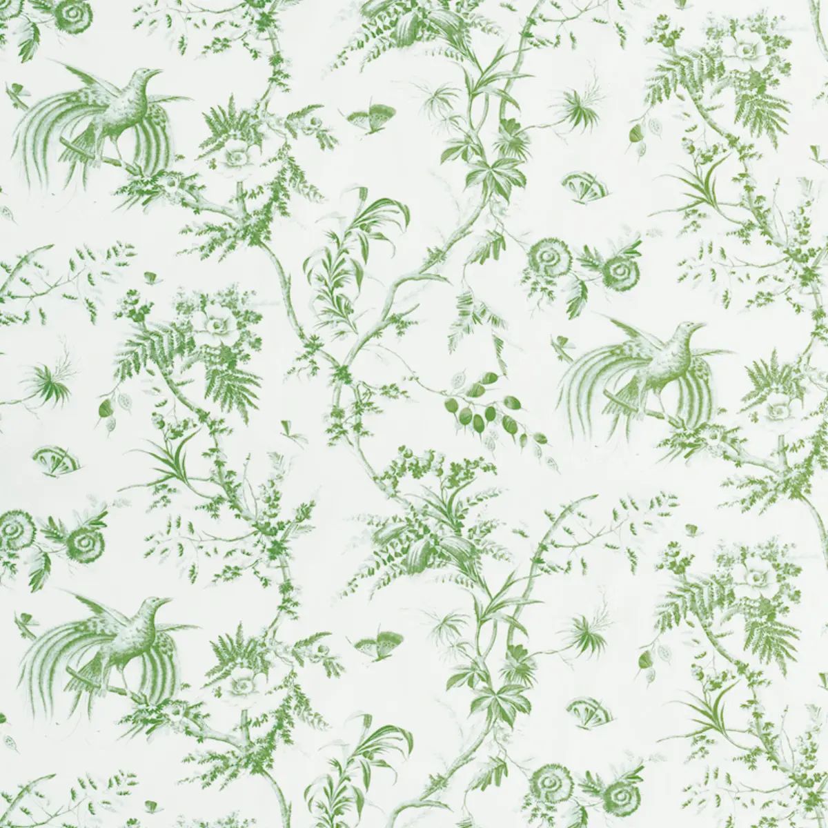 TOILE DE LA PRAIRIE_ GREEN