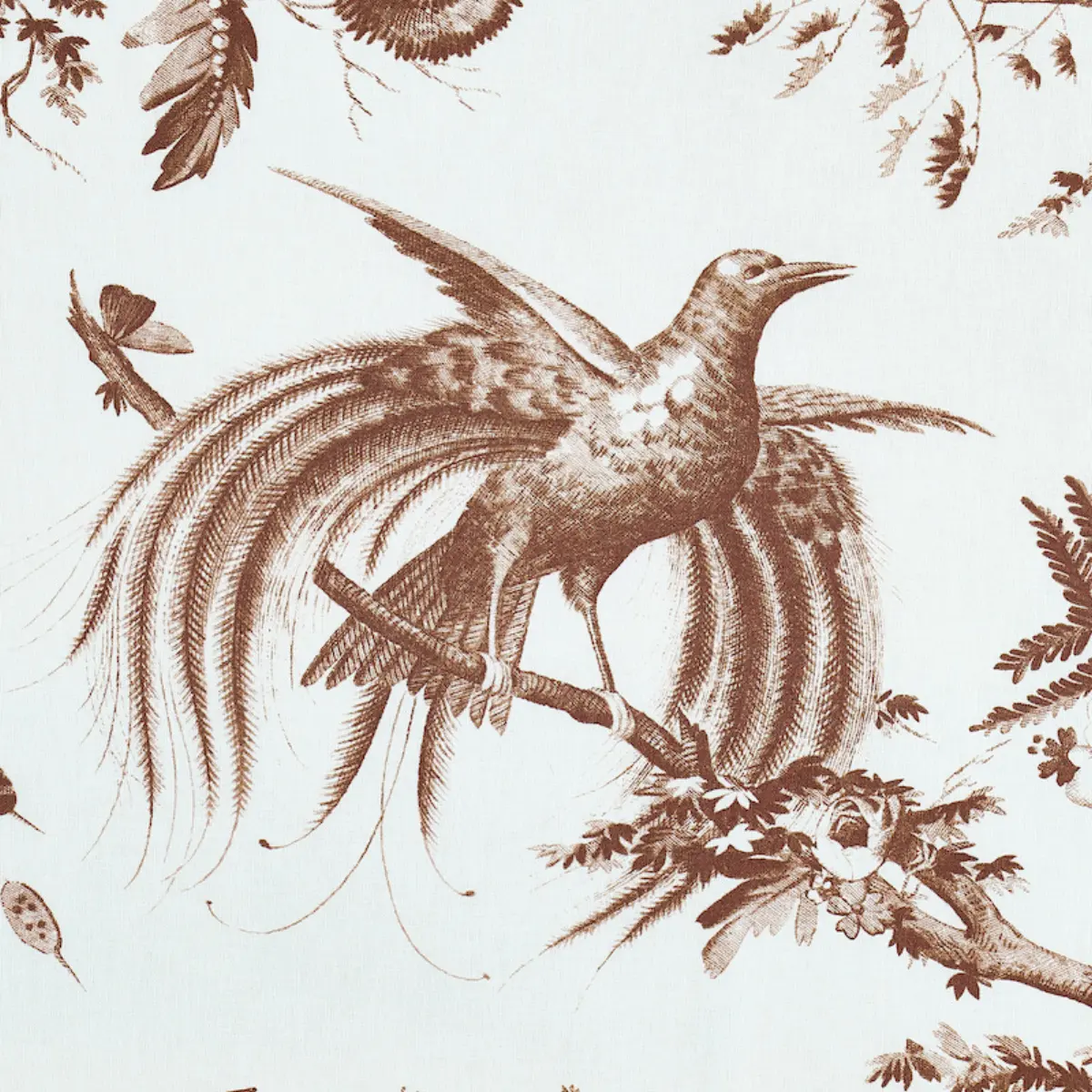 TOILE DE LA PRAIRIE_ BROWN