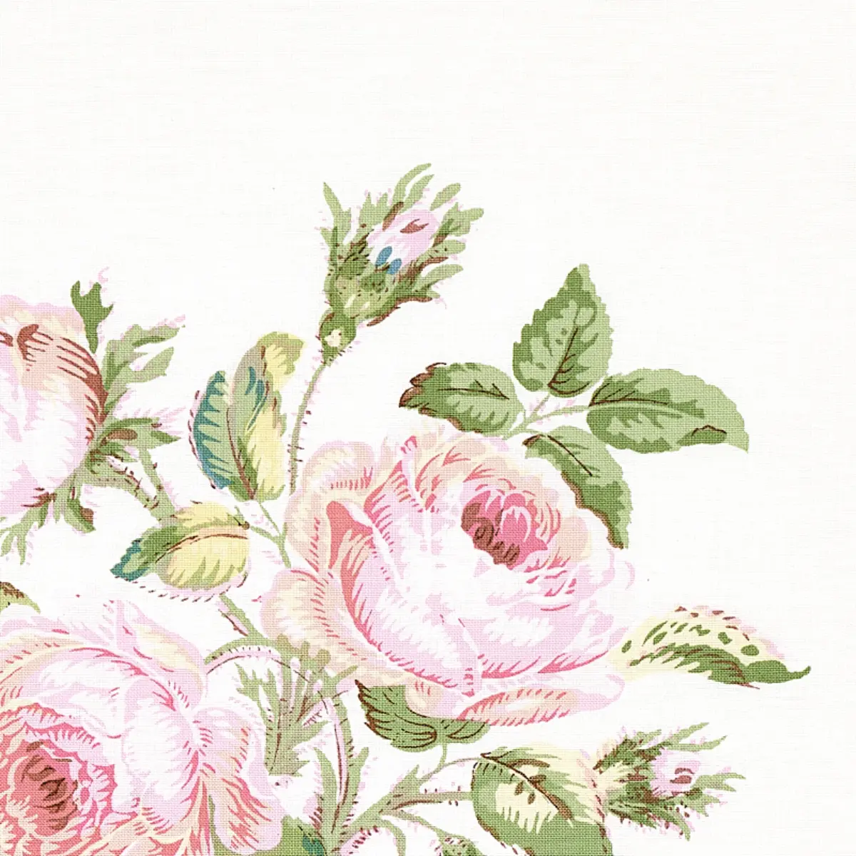 LOUDON ROSE_ BLUSH