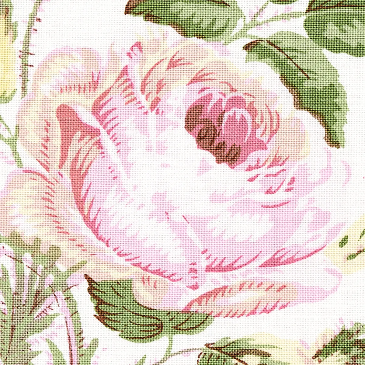 LOUDON ROSE_ BLUSH