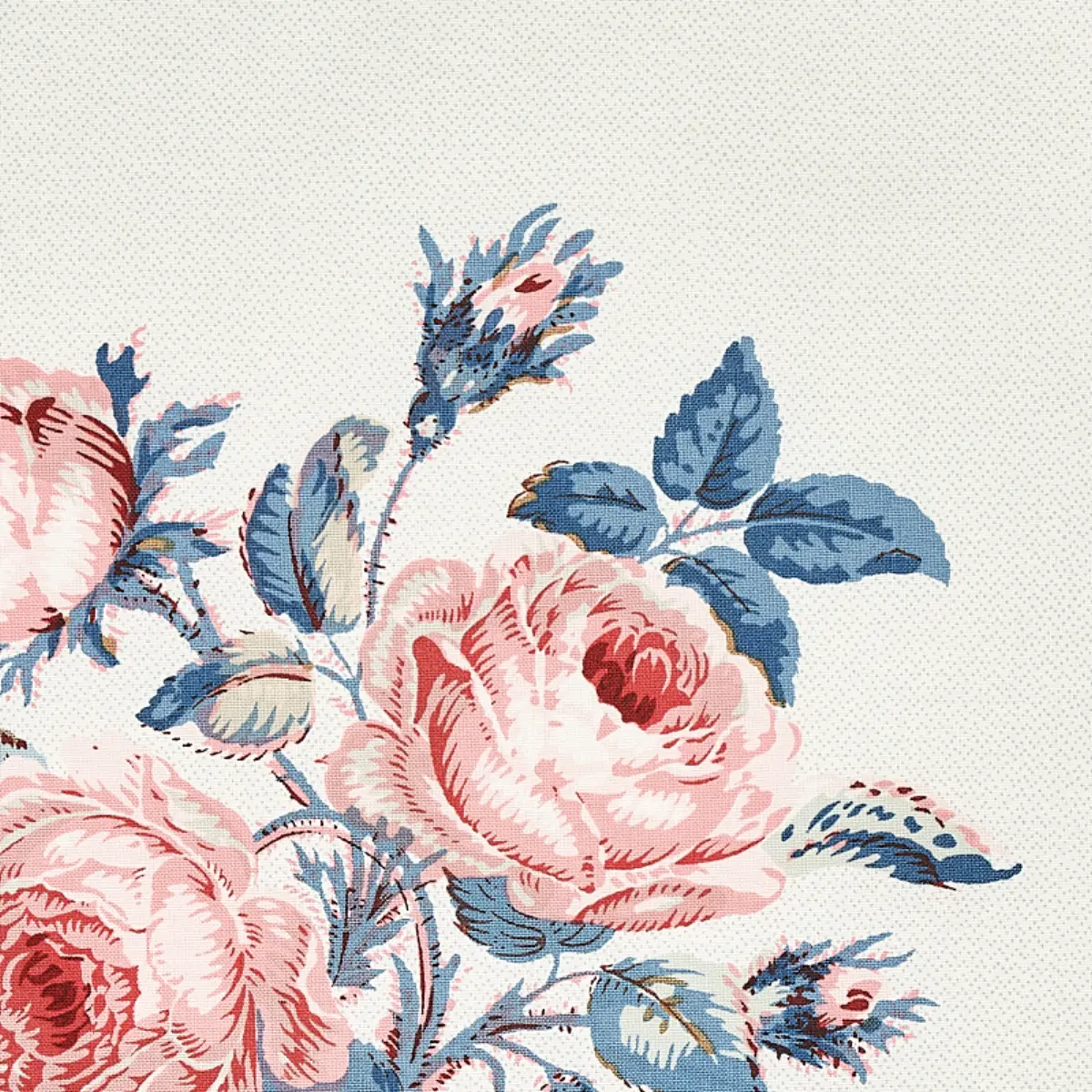 LOUDON ROSE_ ROSE & BLUE
