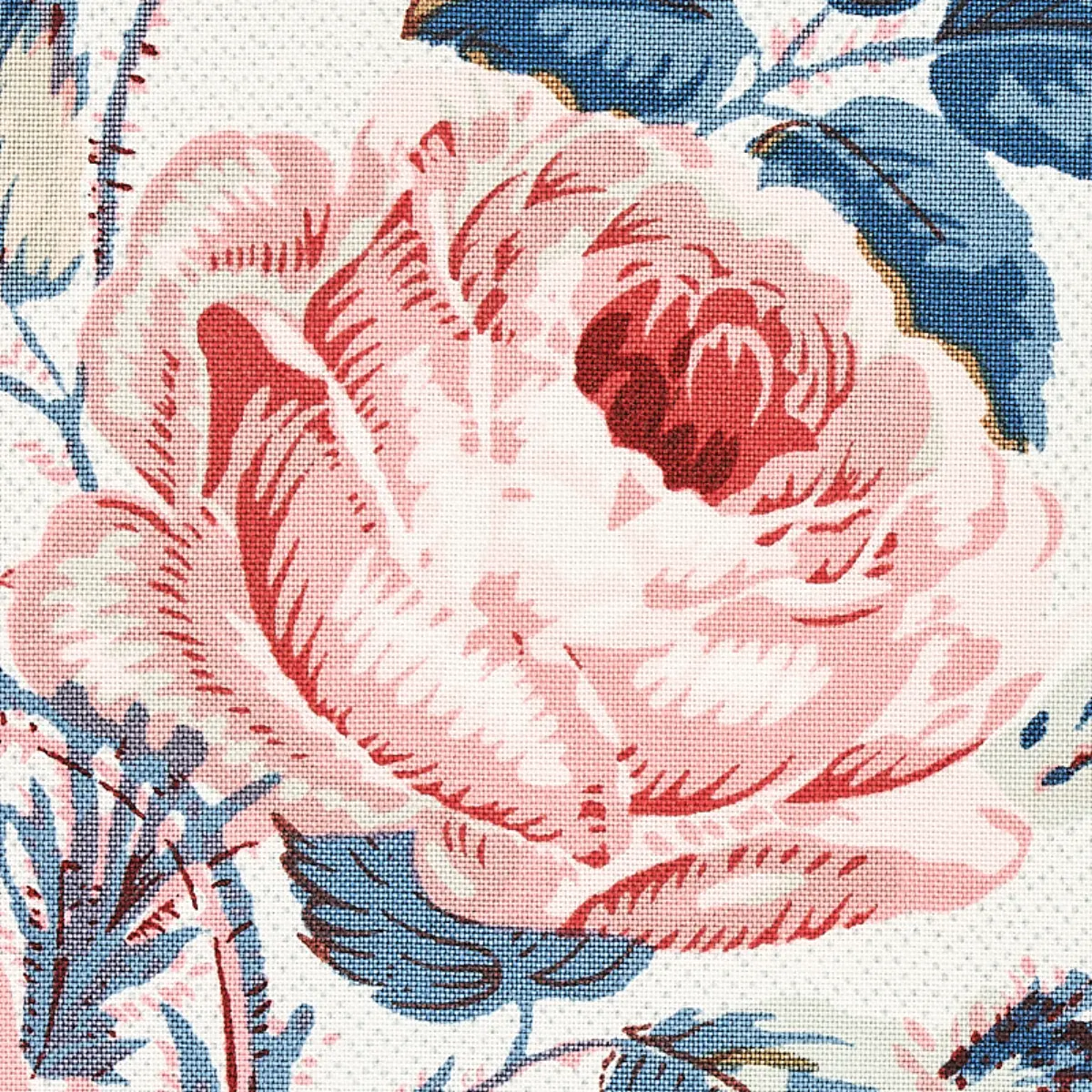 LOUDON ROSE_ ROSE & BLUE