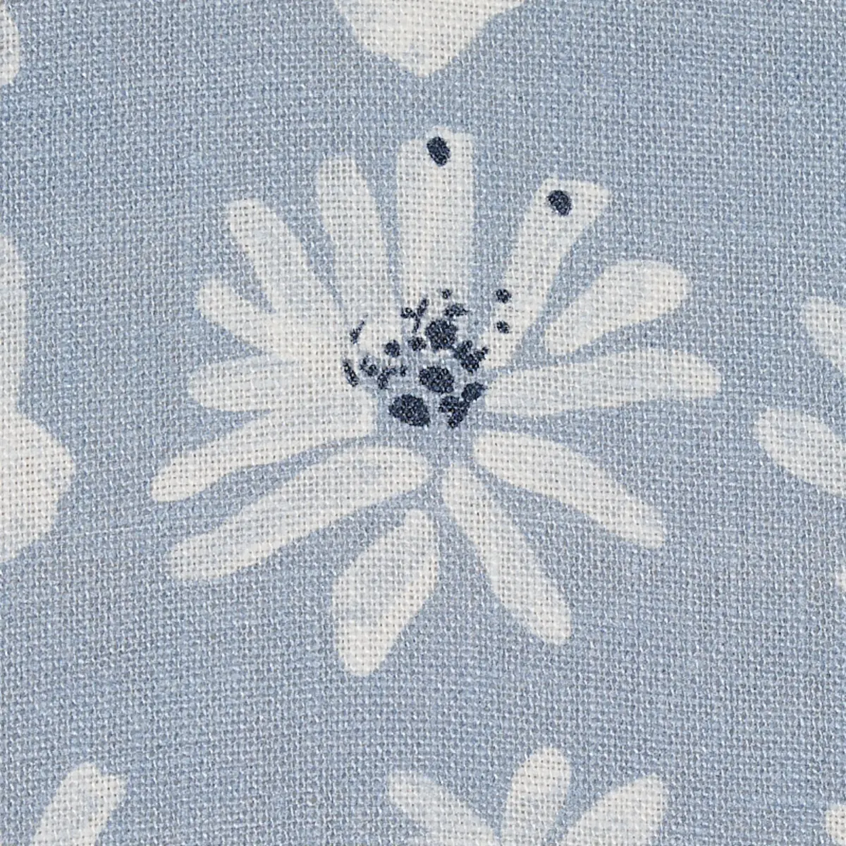 MEADOW ROCK_ BLUE