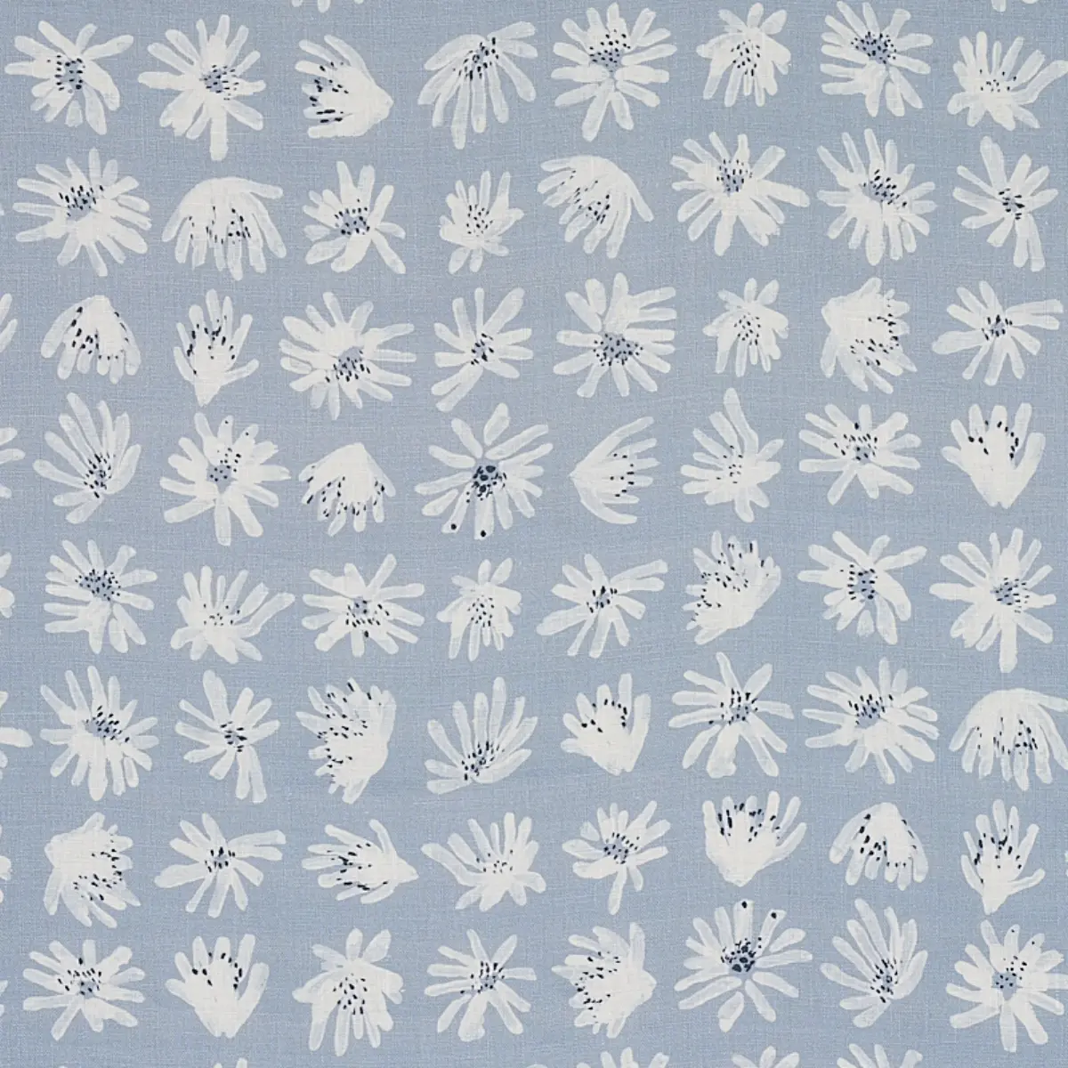 MEADOW ROCK_ BLUE