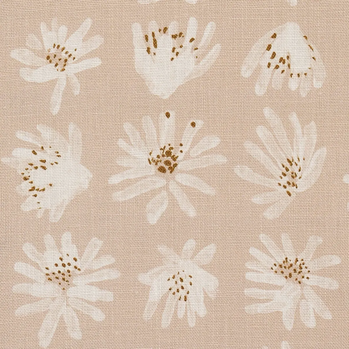 MEADOW ROCK_ NATURAL