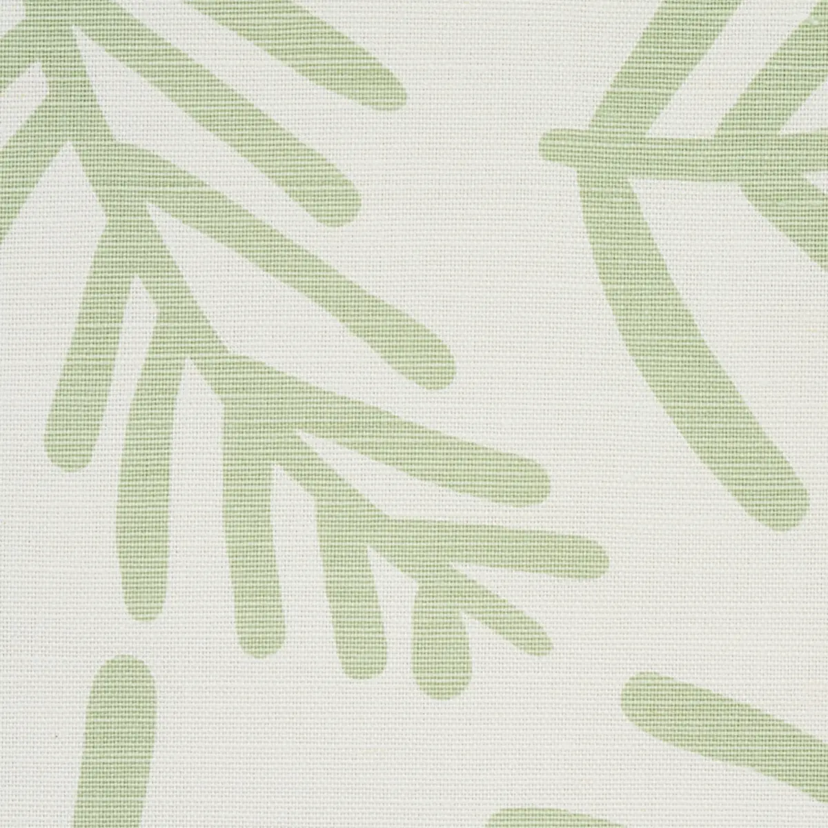 TIAH COVE_ SAGE LEAF