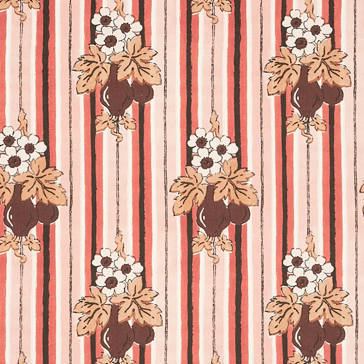 TURNIP_ CARNATION