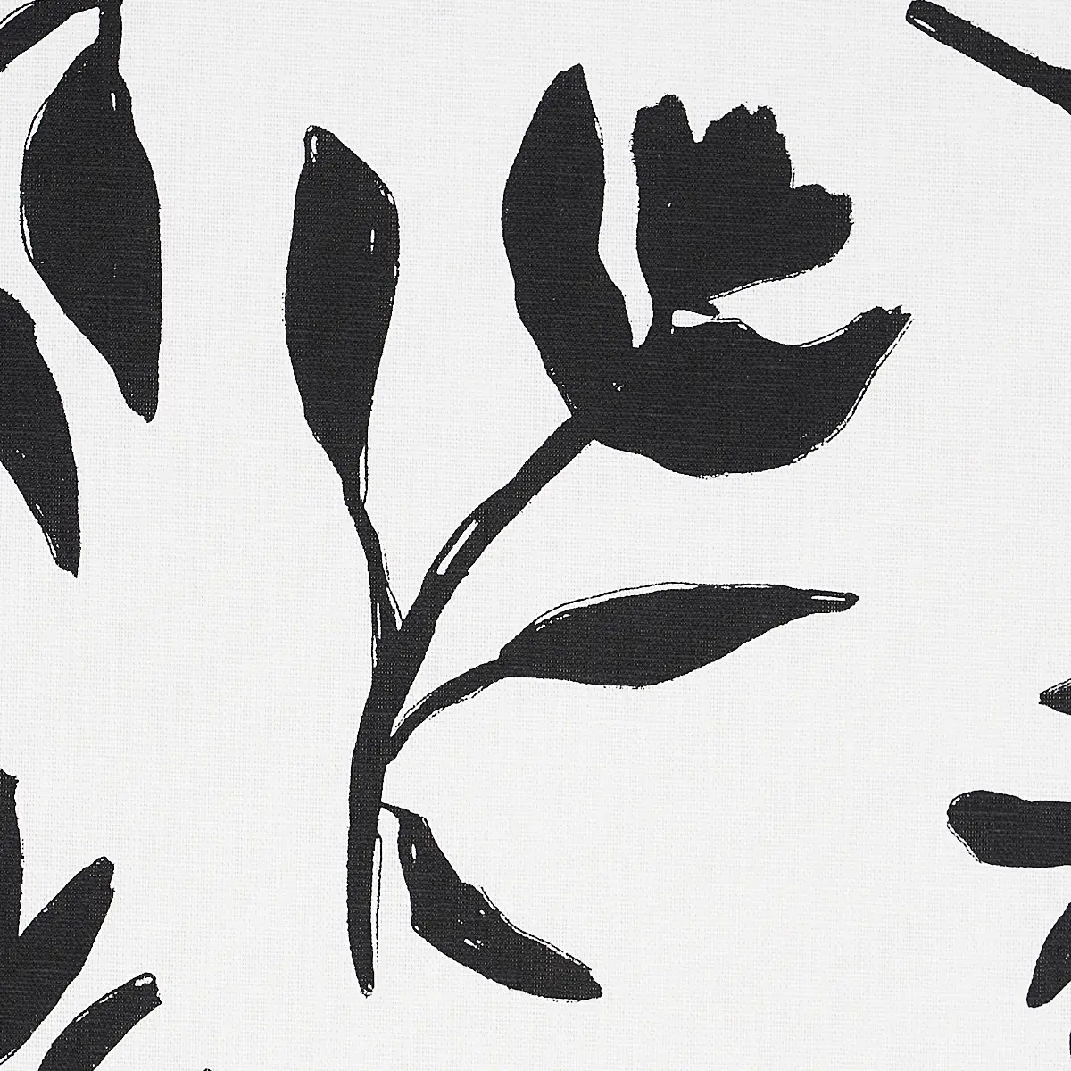LAUREL_ BLACK