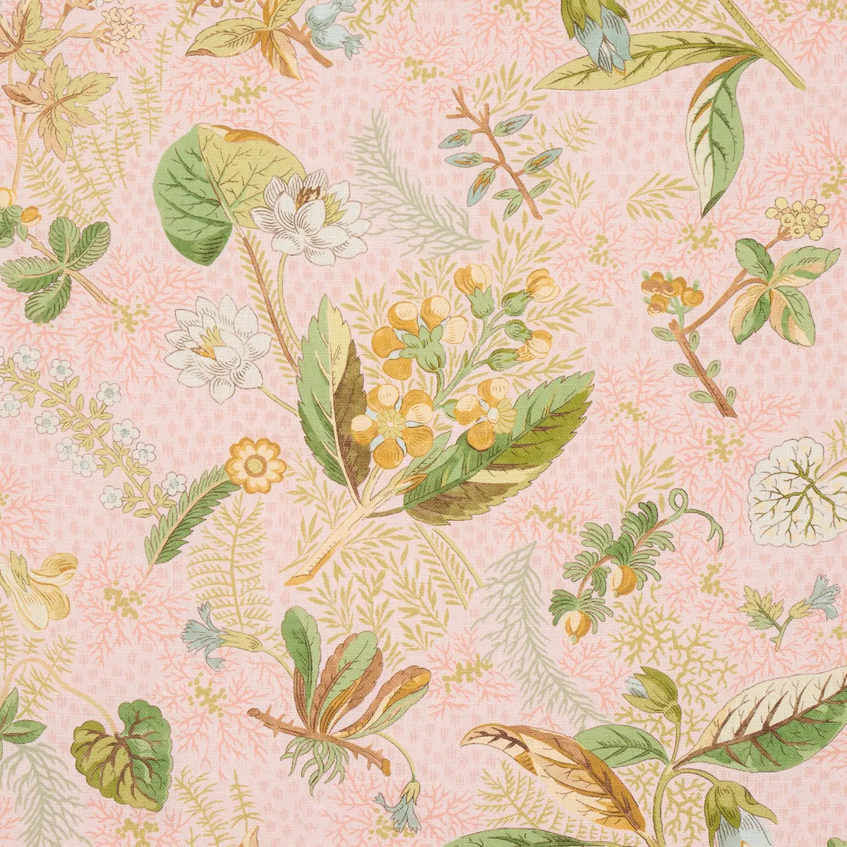 BLACKWELL LINEN_ BLUSH