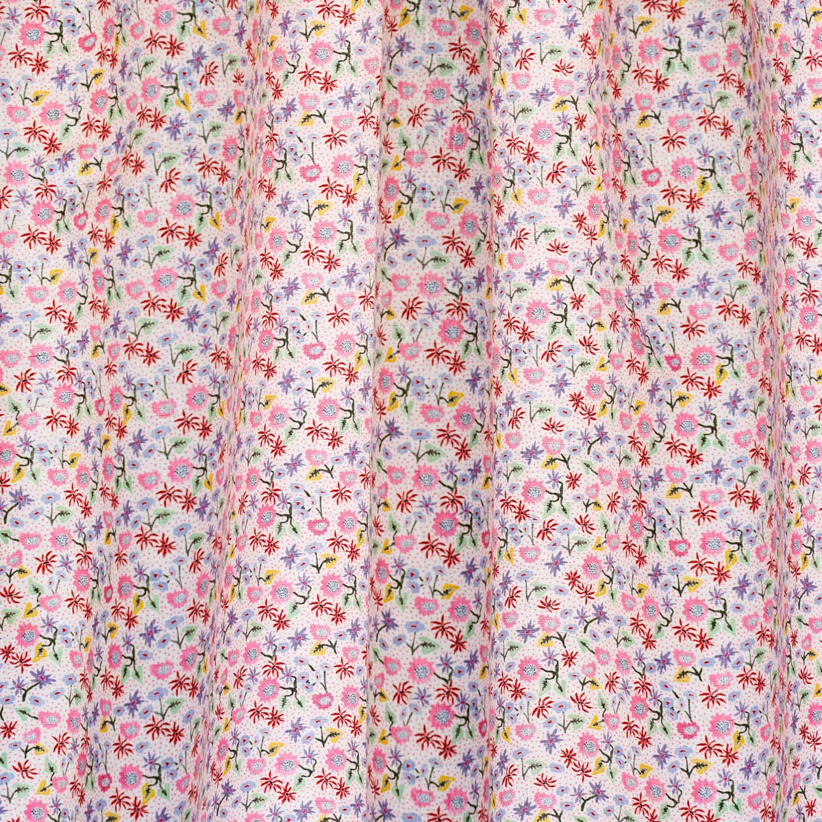 CALICO_ SPREZZATURA