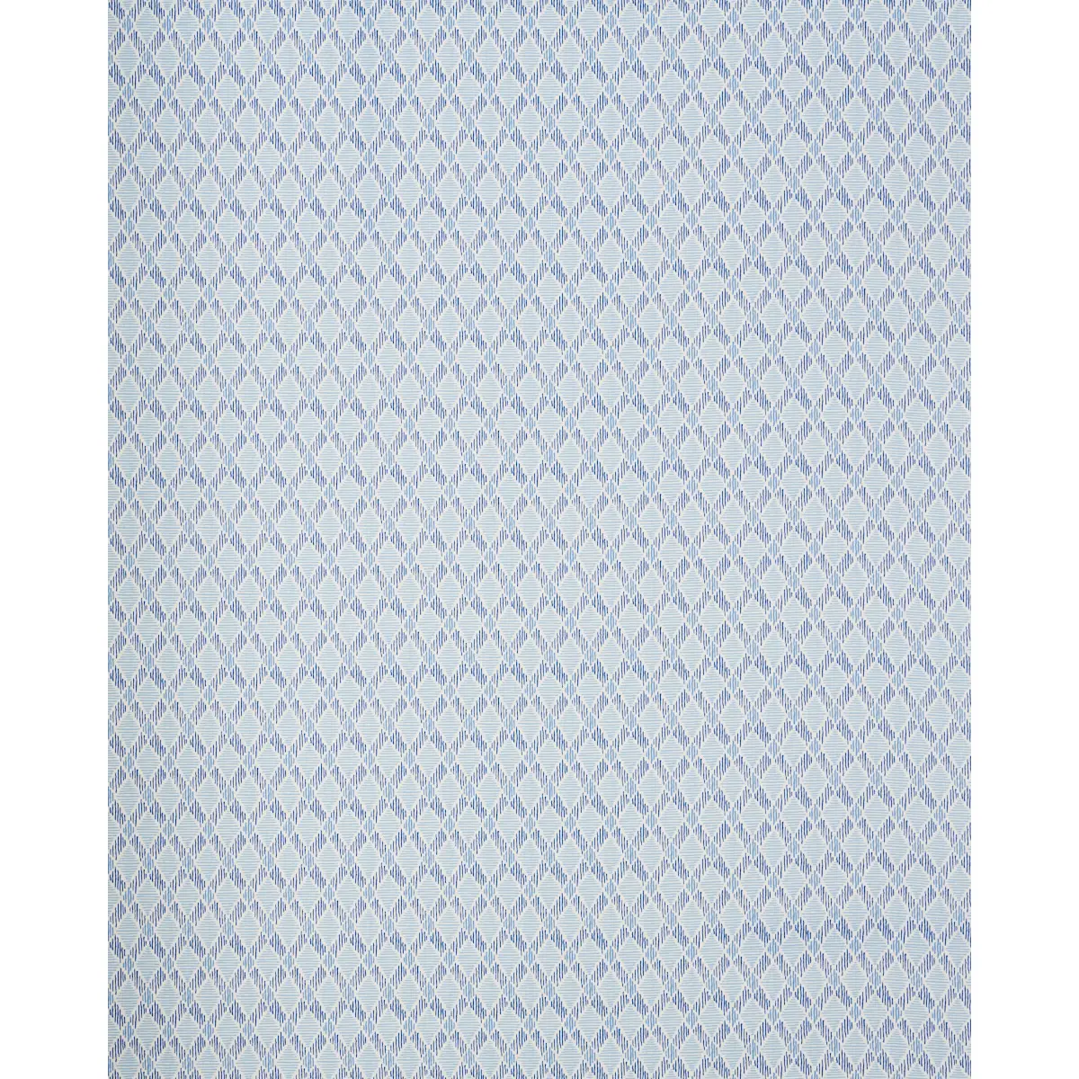 DEXTER INDOOR/OUTDOOR_ BLUES