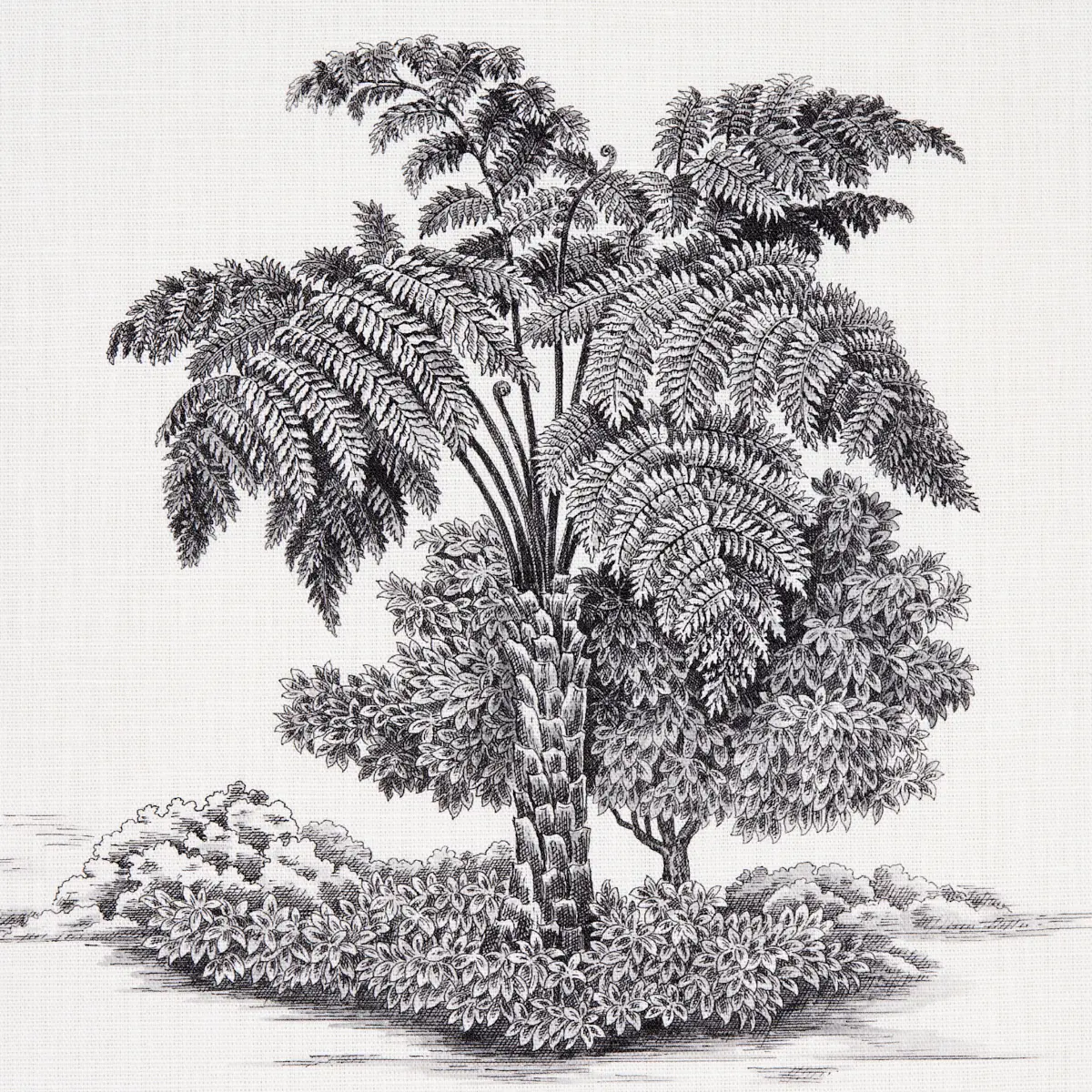 TOUSSAINT TOILE_ BLACK
