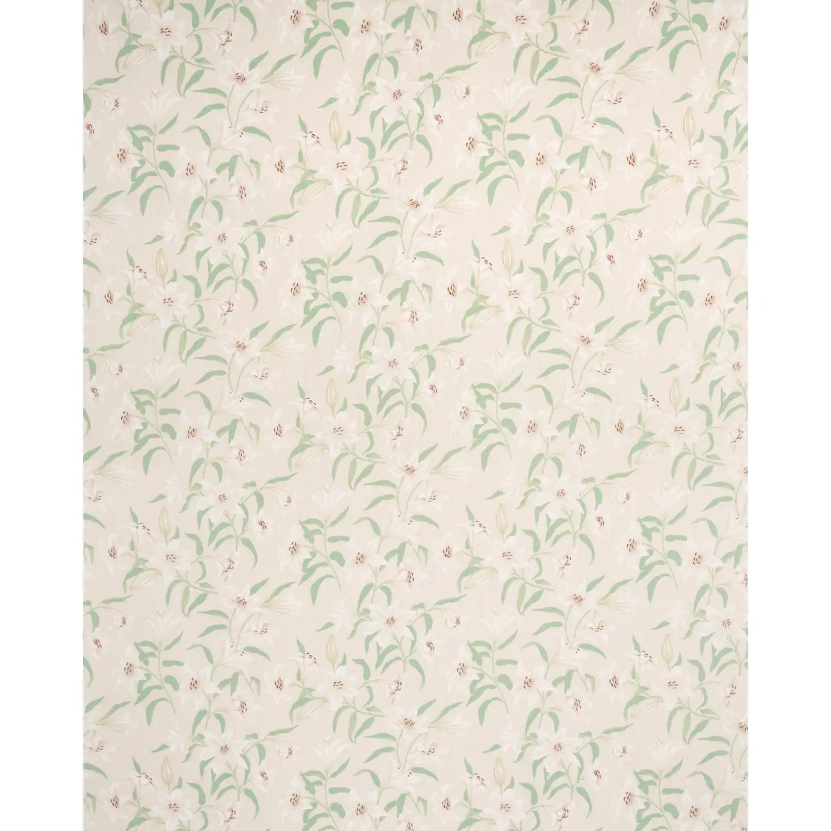 SCATTERED LILIES_ CREAM