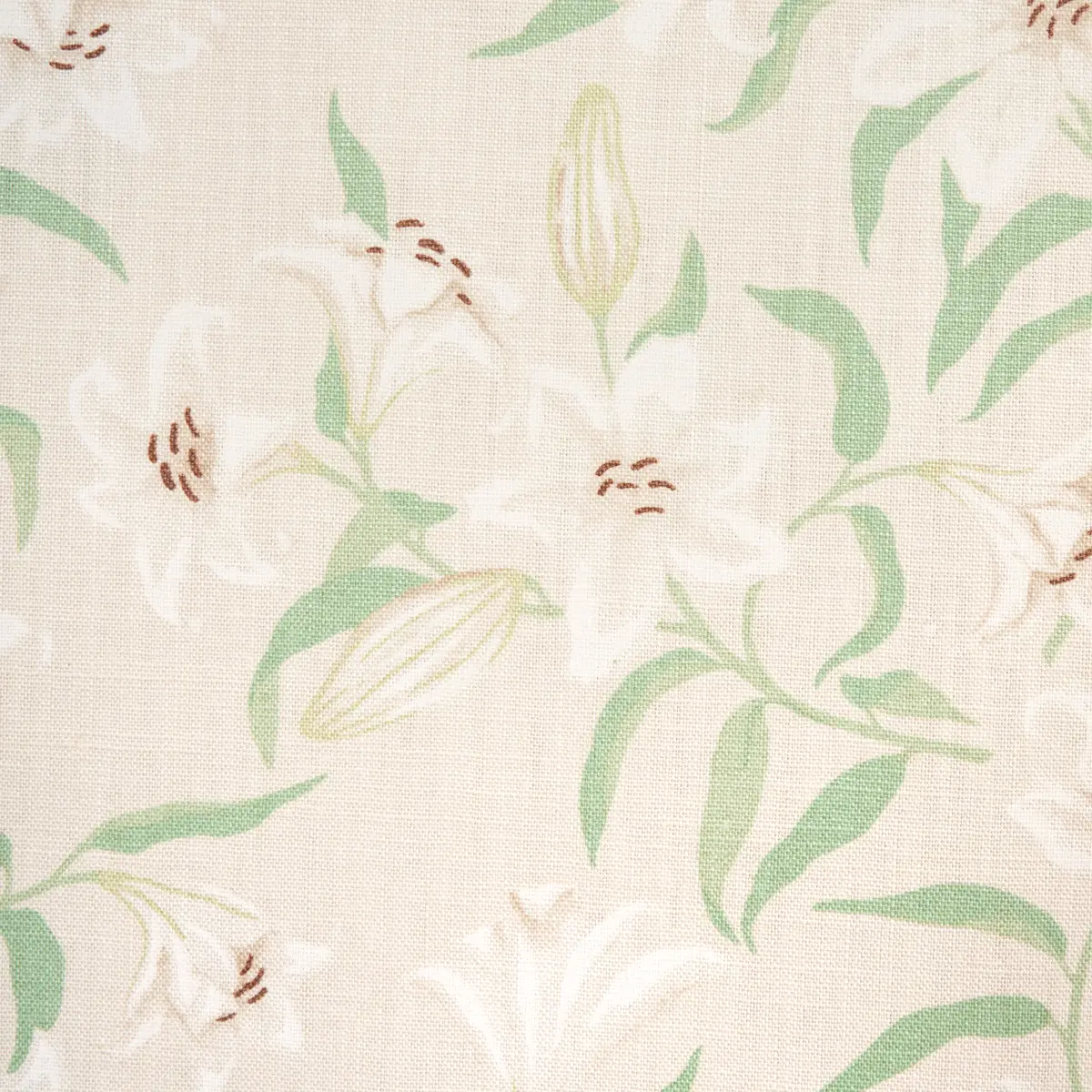 SCATTERED LILIES_ CREAM