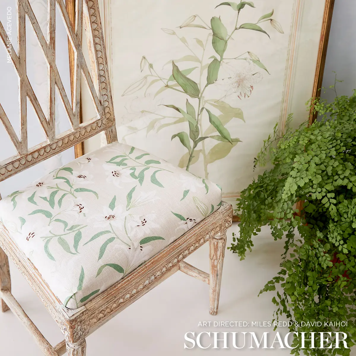 SCATTERED LILIES_ CREAM