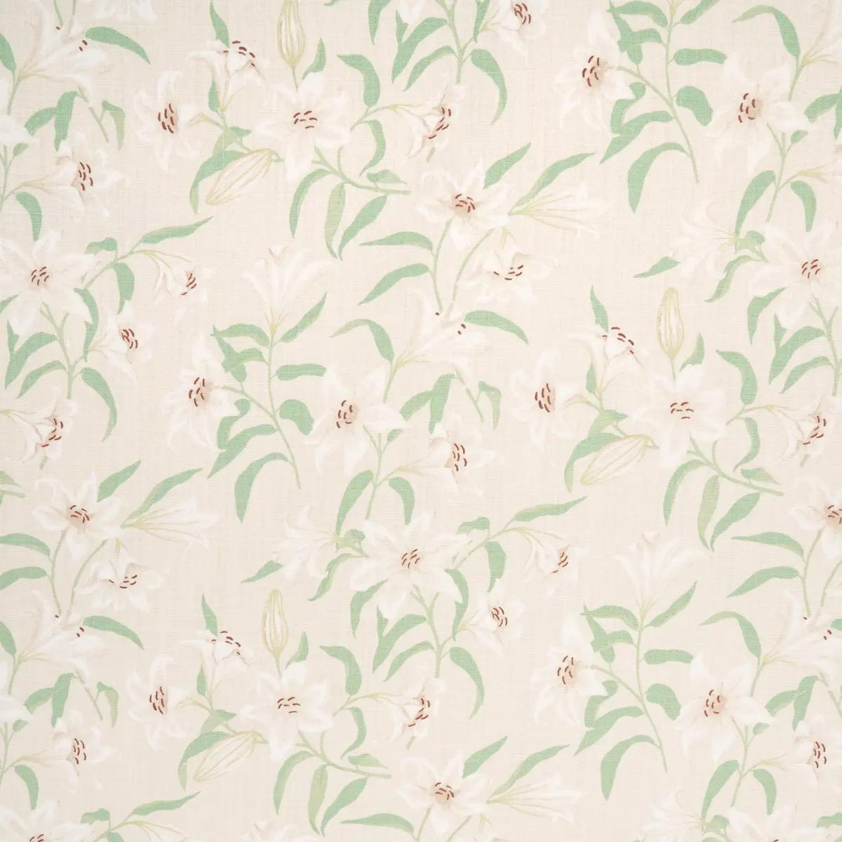 SCATTERED LILIES_ CREAM