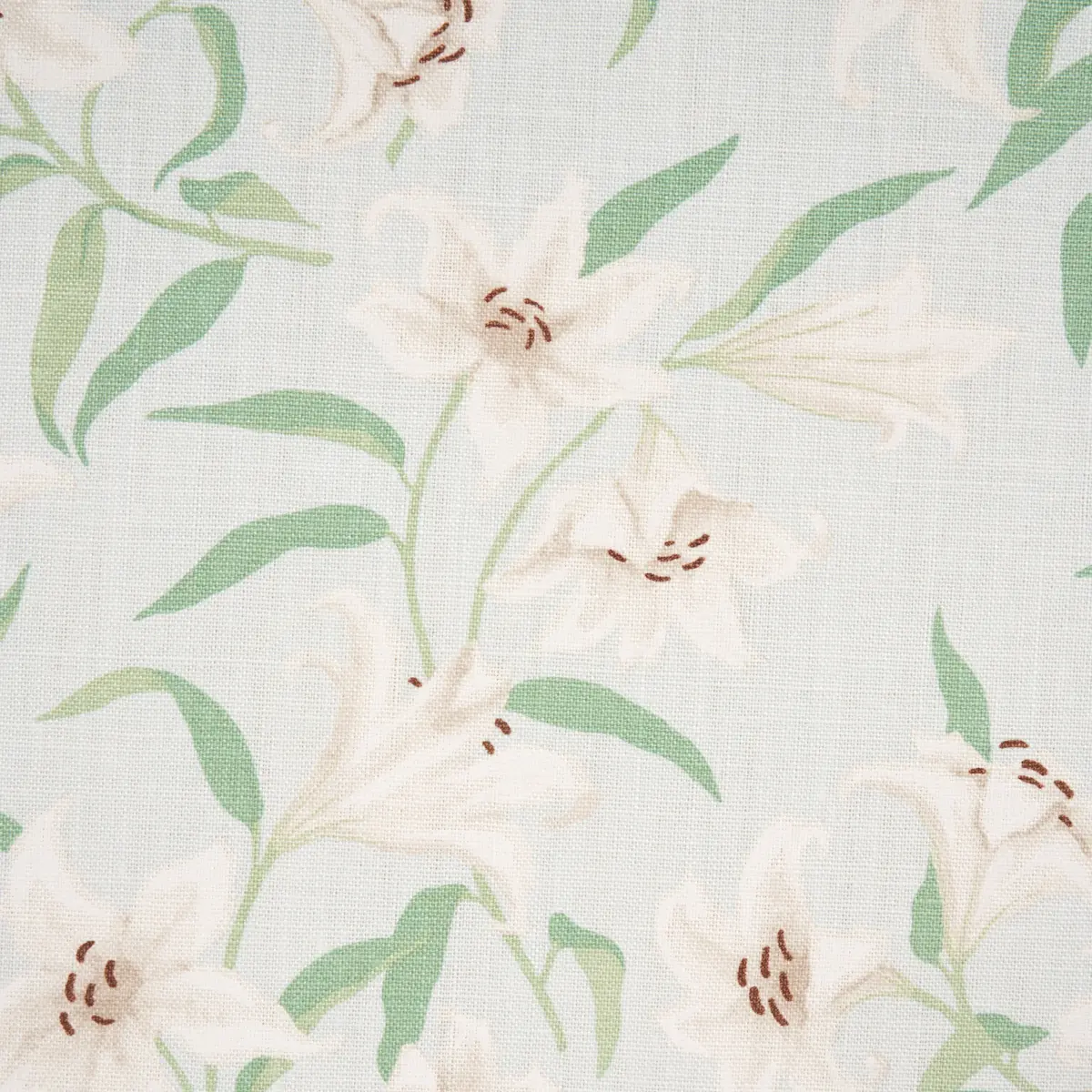 SCATTERED LILIES_ SKY