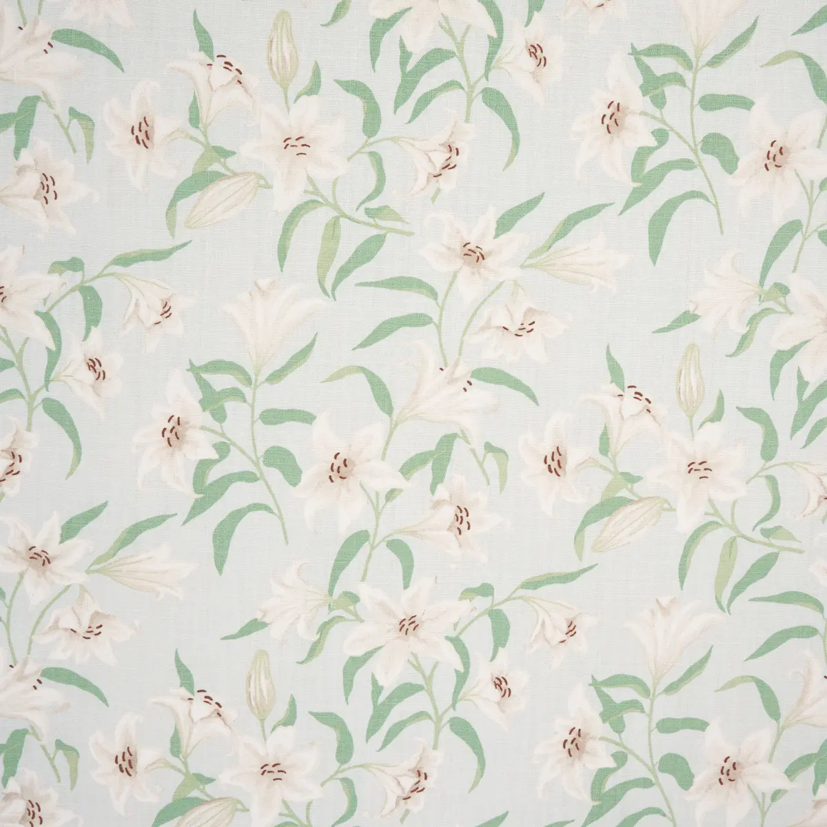 SCATTERED LILIES_ SKY