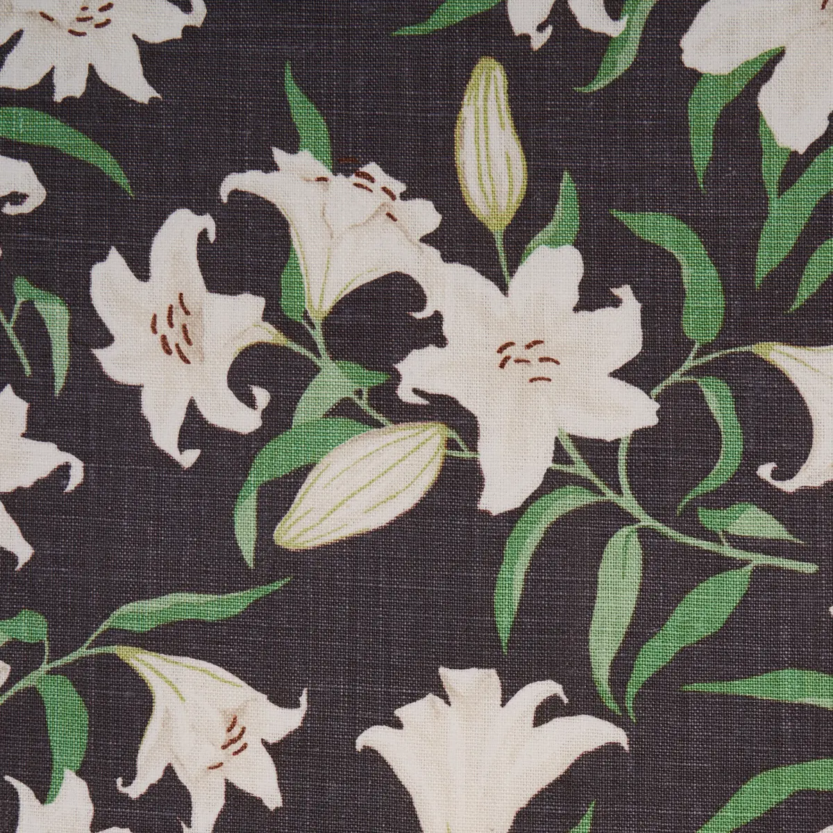 SCATTERED LILIES_ CHARCOAL