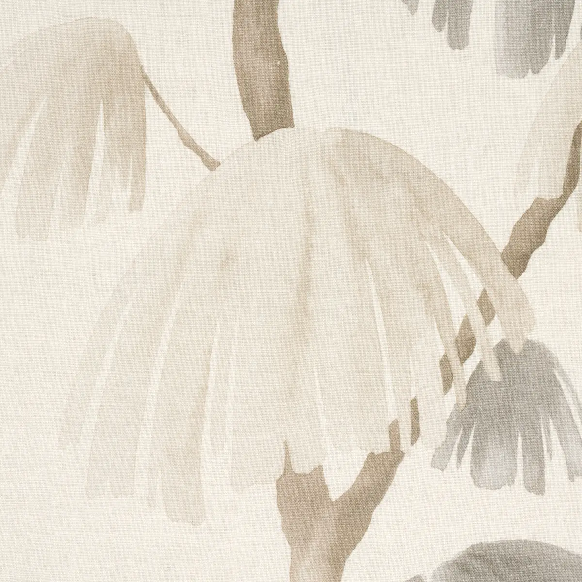 WEEPING PINE_ NEUTRAL