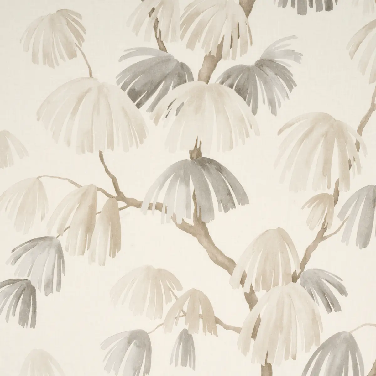 WEEPING PINE_ NEUTRAL
