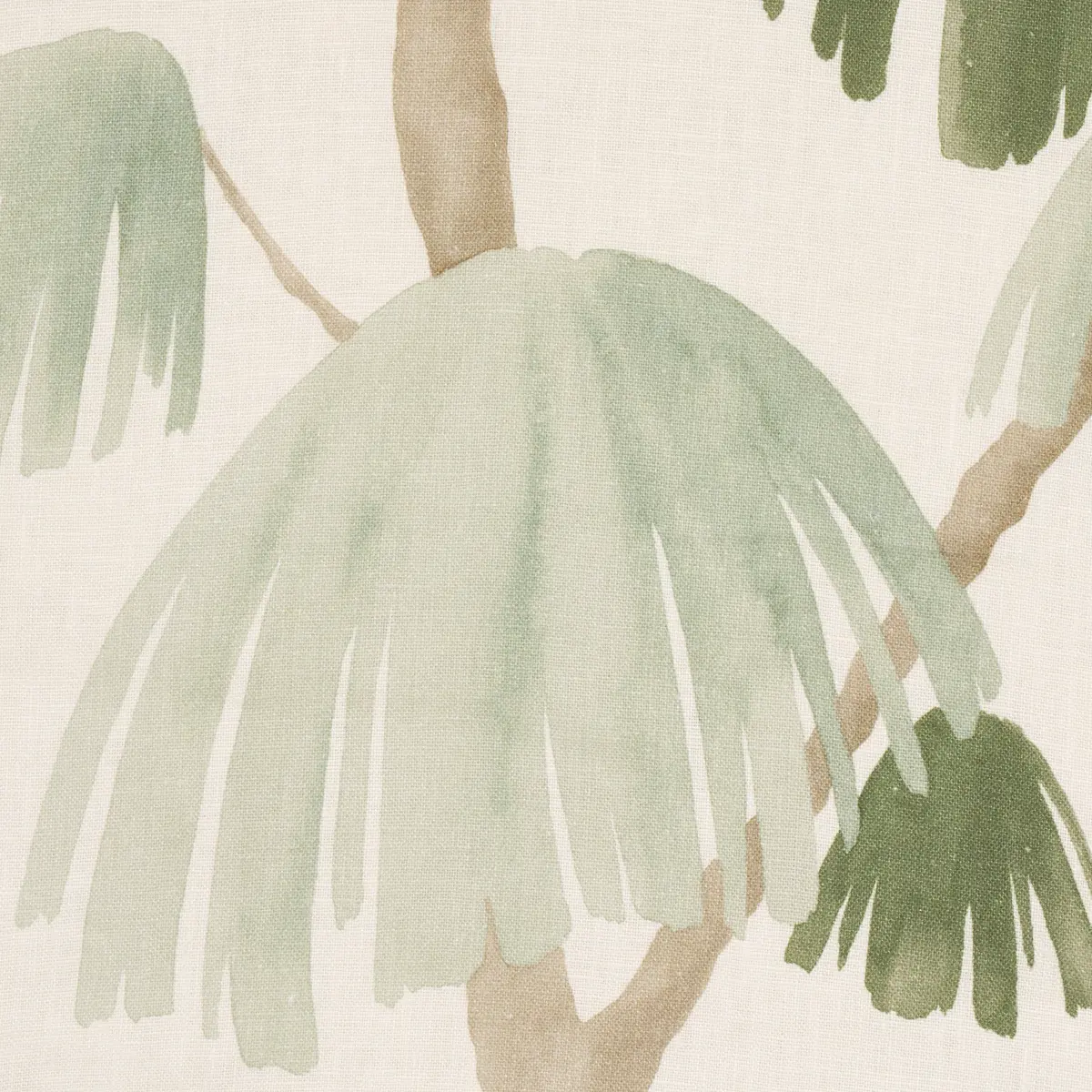 WEEPING PINE_ SAGE