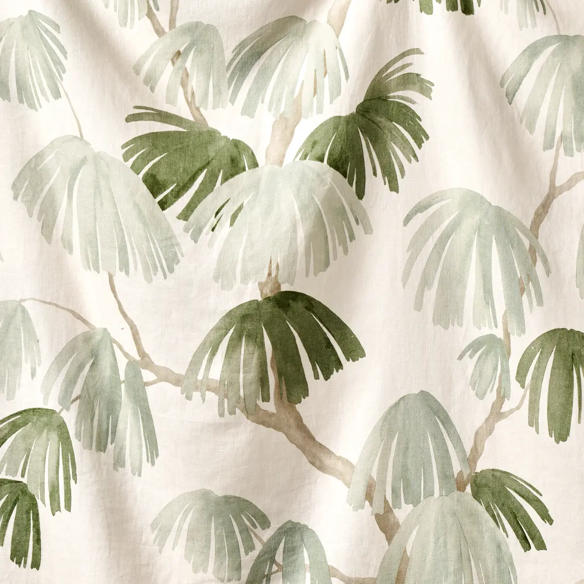 WEEPING PINE_ SAGE
