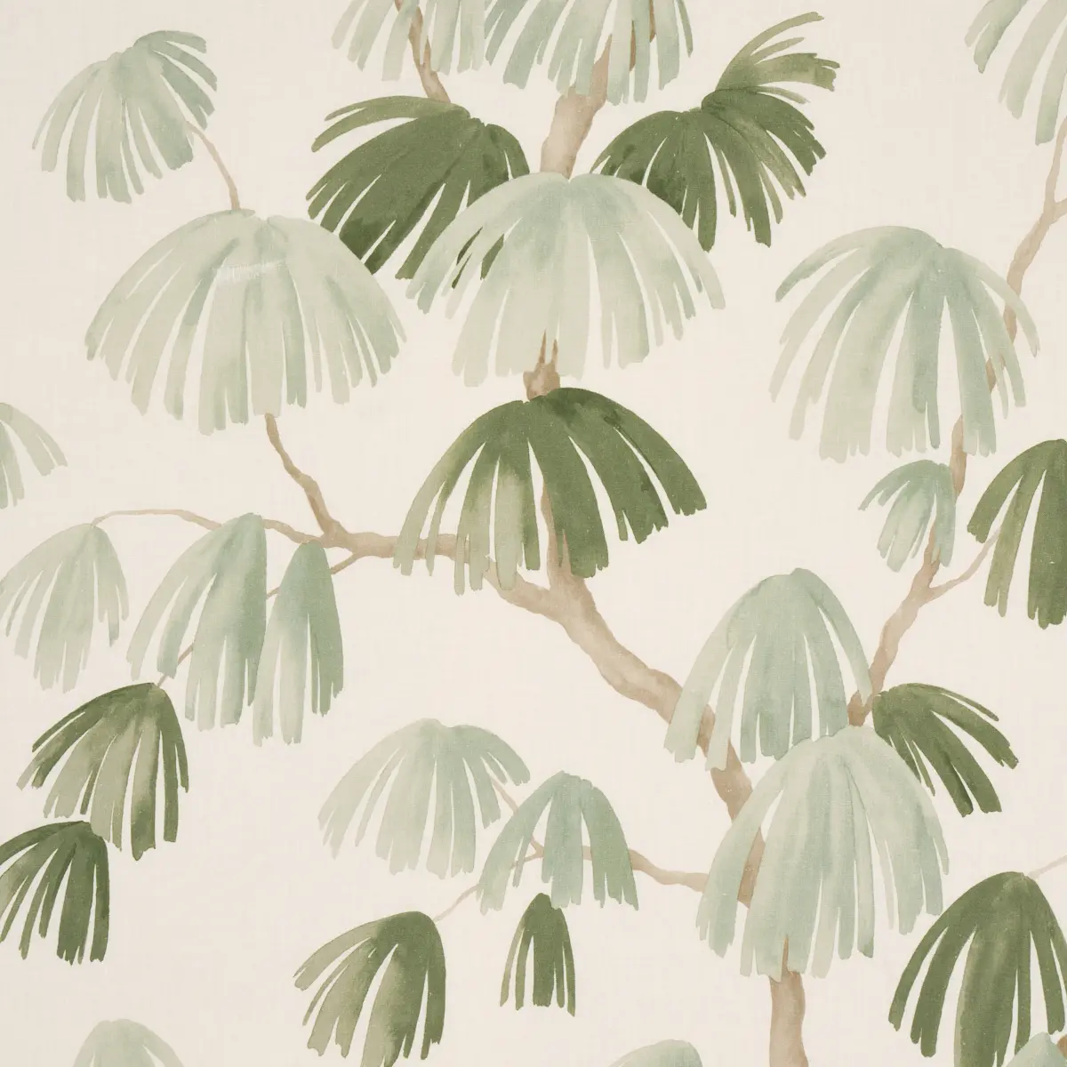 WEEPING PINE_ SAGE