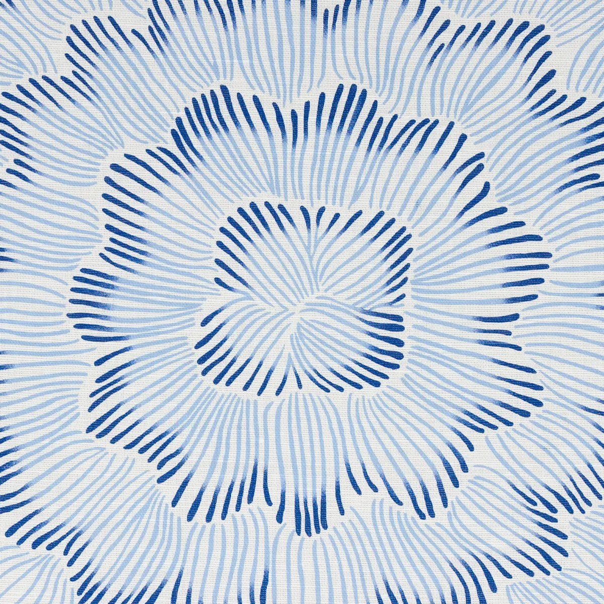 FEATHER BLOOM_ TWO BLUES