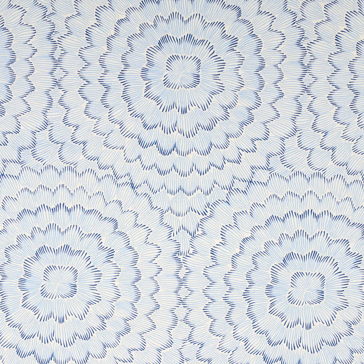 FEATHER BLOOM_ TWO BLUES