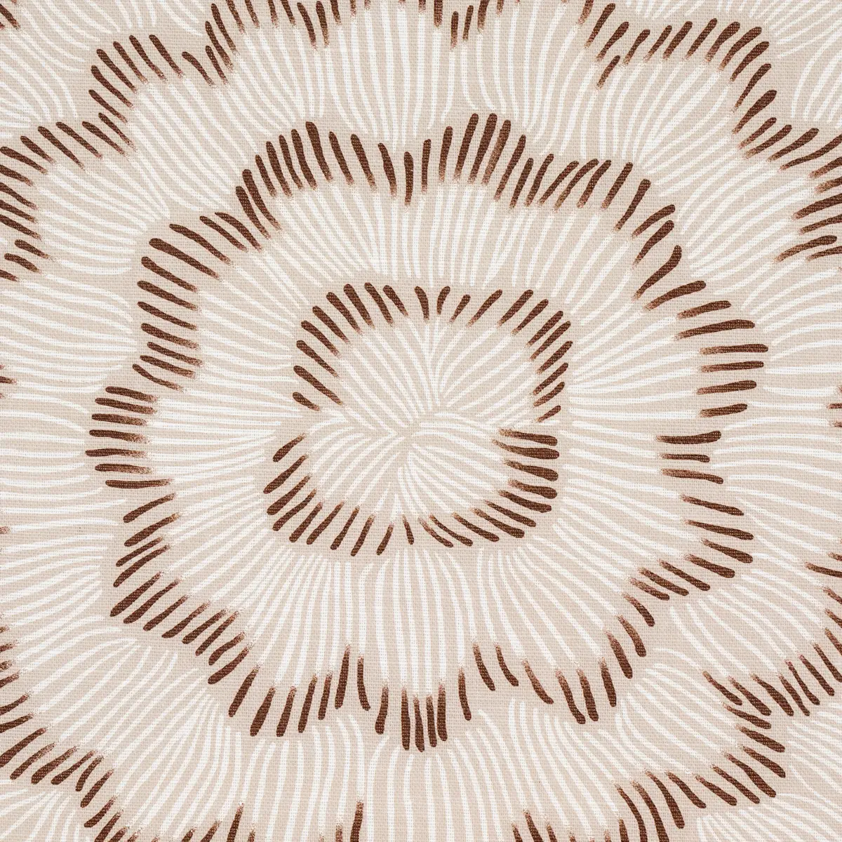 FEATHER BLOOM_ DOVE