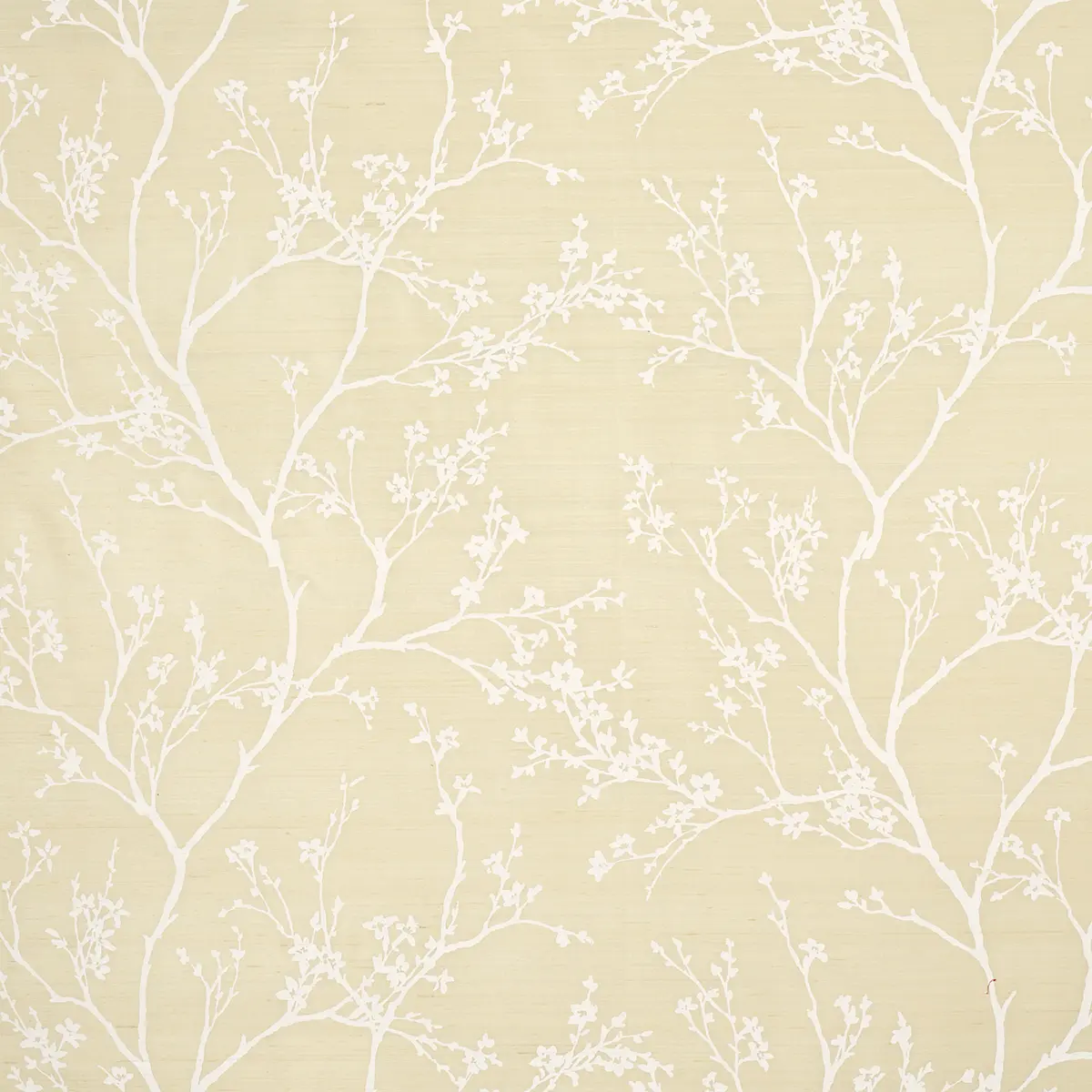 TWIGGY SILK_ CHAMPAGNE