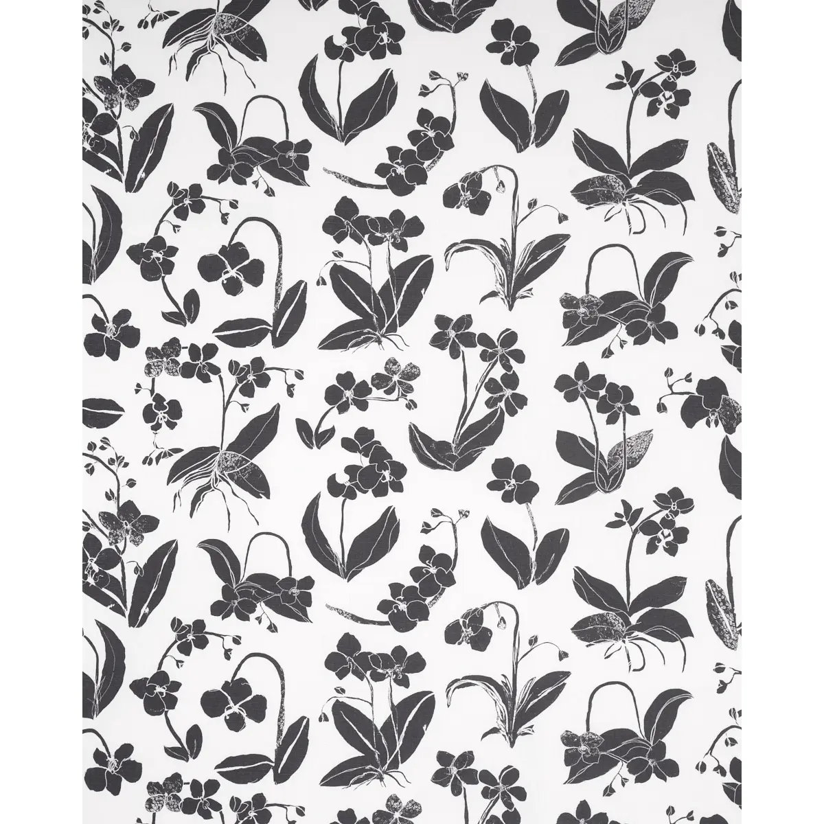 ORCHIDS HAVE DREAMS_ SOFT BLACK