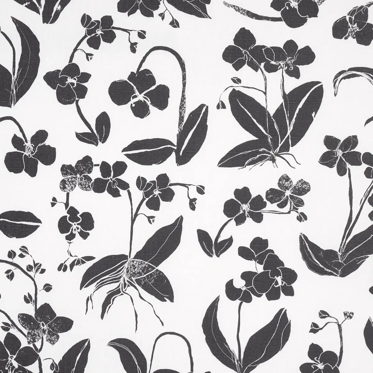 ORCHIDS HAVE DREAMS_ SOFT BLACK
