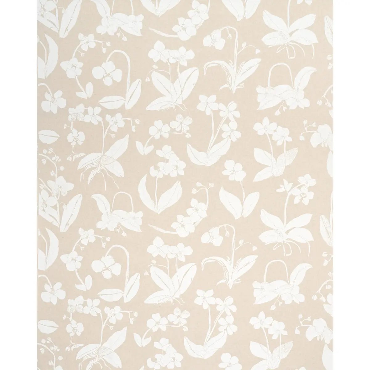 ORCHIDS HAVE DREAMS_ LIGHT NEUTRAL
