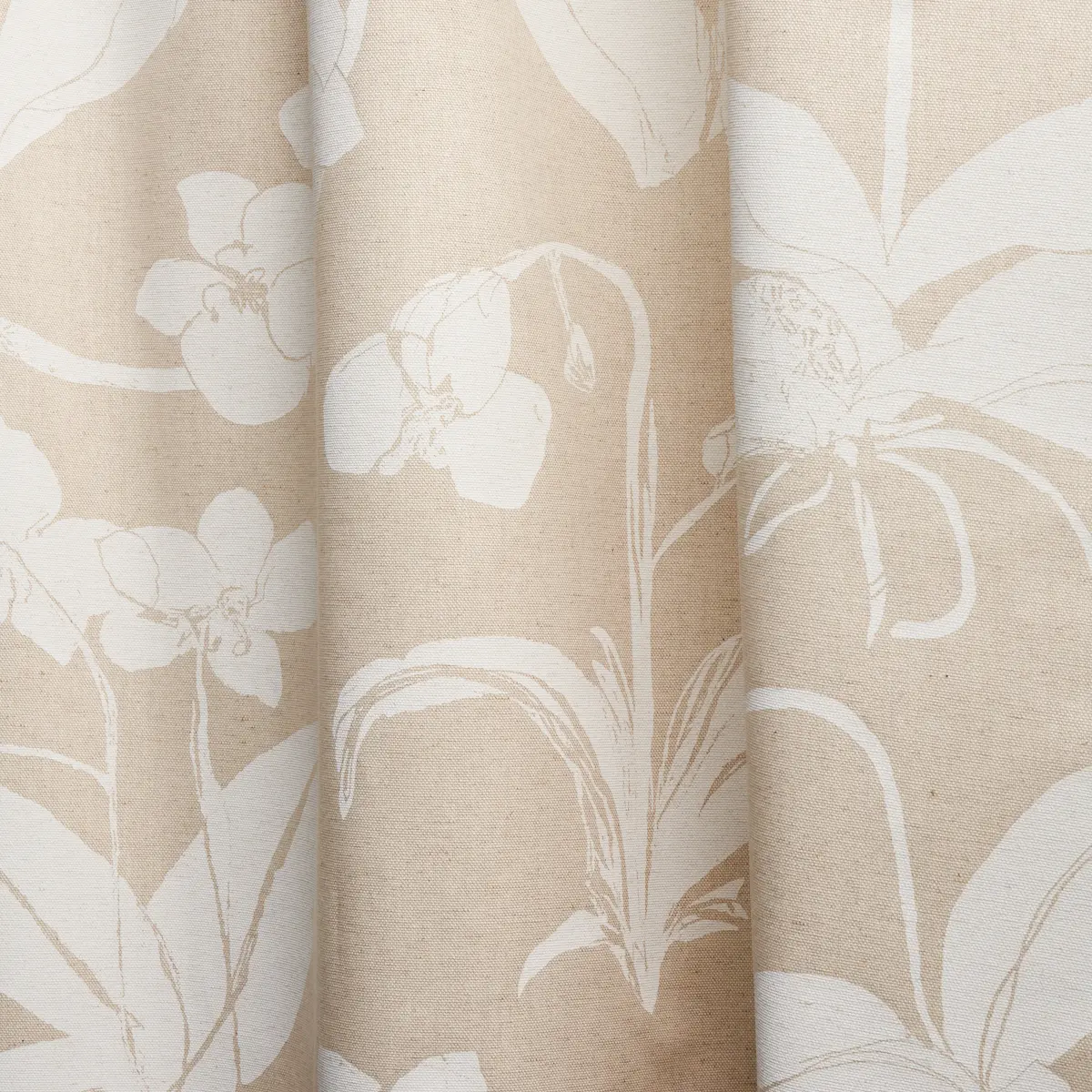 ORCHIDS HAVE DREAMS_ LIGHT NEUTRAL