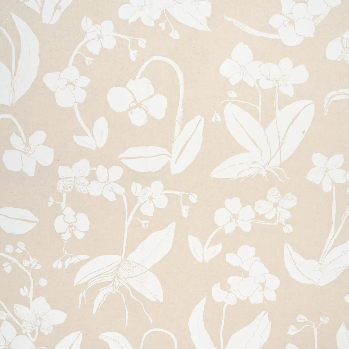 ORCHIDS HAVE DREAMS_ LIGHT NEUTRAL